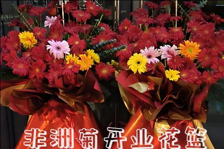 上海金山区开业花篮